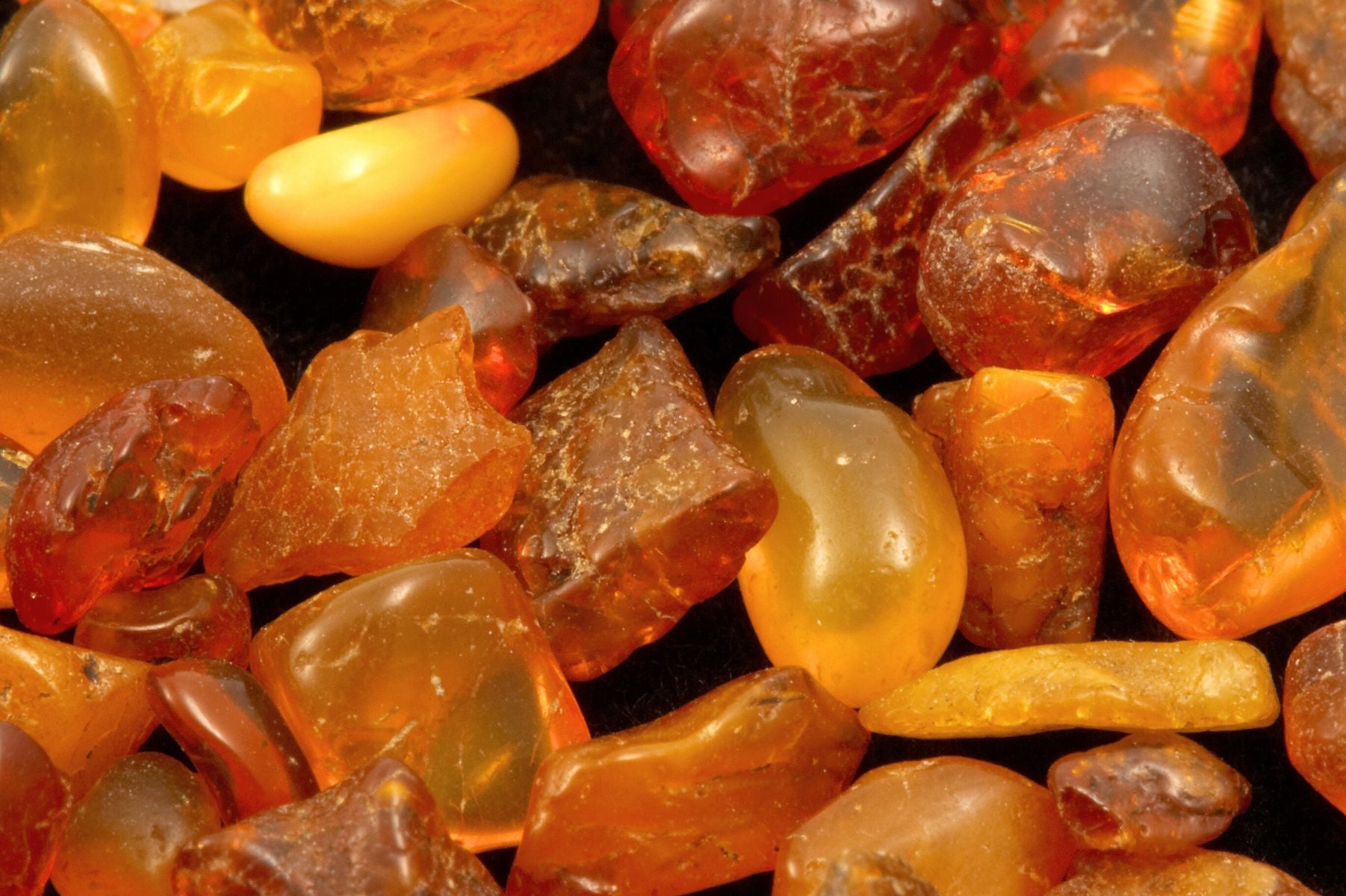 Majolin hakiki kehribar taşı koleksiyonu için sıcak tonlarda karma kapak görseli